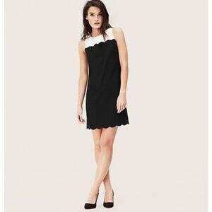 Ann Taylor LOFT Black Ivory Sleeveless Knit Sheath‎ To Knee Sheath Dress Size 12